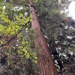 Photo taken by kirsten b