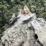 Photo taken by Lindy S