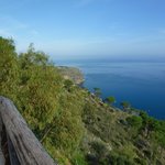 Photo taken by alex p