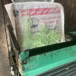 Photo taken by Ricky B