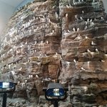 Perlans replica of the cliffs | Photo taken by Judith M