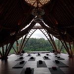 Photo taken by Alexandra G