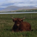 Photo taken by Kathryn S