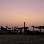 Photo taken by Alfred T