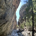 Photo taken by Darcy G