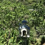 Photo taken by Victoria P