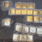 Photo taken by Judi S