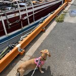 Photo taken by Krissy S