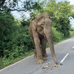 Photo taken by Anisha L