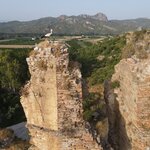 Photo taken by alai a