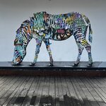 Photo taken by Jennifer E