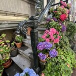 Photo taken by Janice W