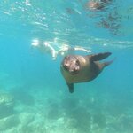 Photo taken by Stephanie A