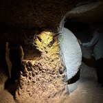 Photo taken by Patricia O