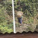 Photo taken by Wayne D