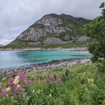 Photo taken by Dani L