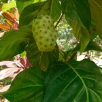 Photo taken by Brett F