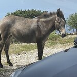 Photo taken by Christine R