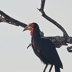 Photo taken by rhonda c