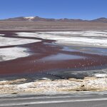 Photo taken by Shirley S