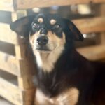 Photo taken by Sophie F