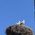 Photo taken by Mark W