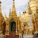 Photo taken by Pip S