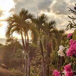 Photo taken by Brett F