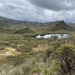 Photo taken by Carine D