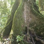 Photo taken by Tobi S