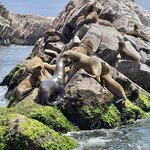 Photo taken by Keith J