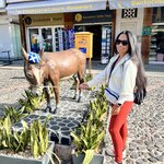 Photo taken by Melani P