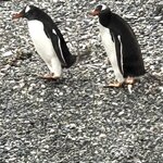 Photo taken by Ruth E