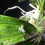 Photo taken by Ben B