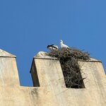 Photo taken by Jen R