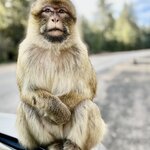 Photo taken by KHEE BOON L