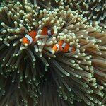 Photo taken by Judith D