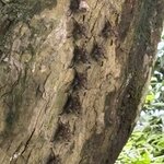 Photo taken by Ora Y