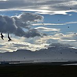 Krkjufell | Photo taken by William R