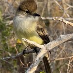 Photo taken by Maggie K