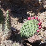 Photo taken by Stephen s