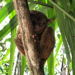 Photo taken by Jennifer K