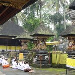 Photo taken by Nancy P