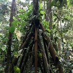 Photo taken by Sophie E