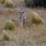 Photo taken by Martine B