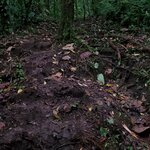 Photo taken by Garritt V