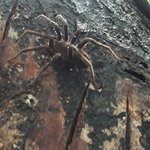 Photo taken by Robert T