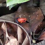 Photo taken by Donna R