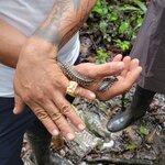 Photo taken by Tom B