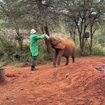 Photo taken by Julien C